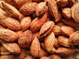 close up of almonds