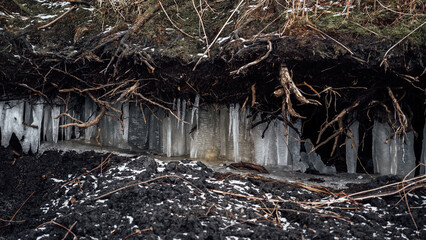 Icicles hanging from roots, branches and rocks that formed next to a stream.