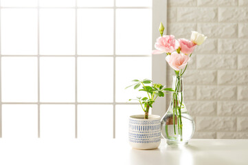 部屋のセット撮影イメージ