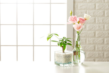 部屋のセット撮影イメージ