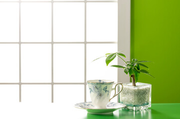 部屋のセット撮影イメージ