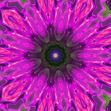 Collection of abstract image structure of poppy flower with latin name (Papaver somniferum) in pink and purple neon colors kaleidoscope, spiral, circle and geometry concept