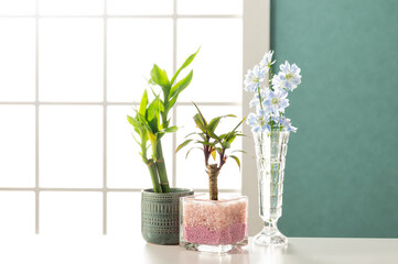 部屋のセット撮影イメージ