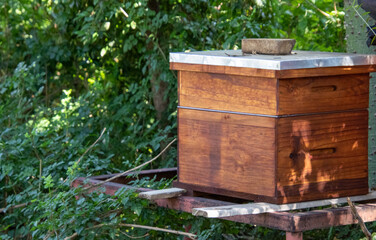 A Langstroth beehive isolated in a quiet spot in a field