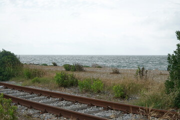 marina di carrara