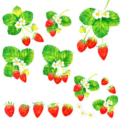 イチゴの果実・花・葉っぱの水彩イラスト素材集　フルーツの手描きイラストセット