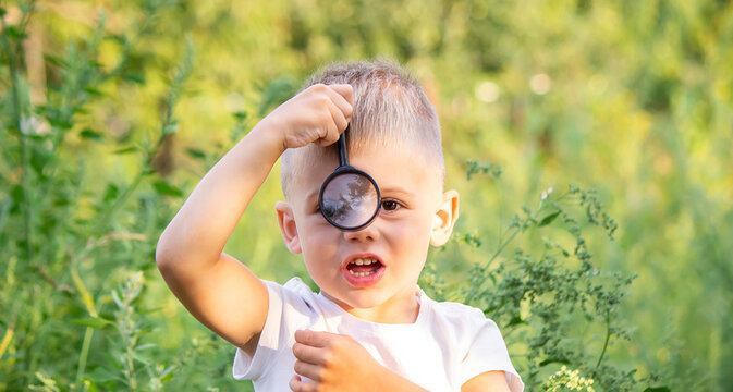 Young boy exploring nature in the meadow with a magnifying glass looking at flowers. Curious children in the woods.