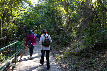 Obraz premium men and women hiking along trails in forest in Sai Kung, Hong Kong