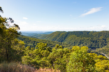 Weiter Blick über die australischen Wälder Richtung Stadt