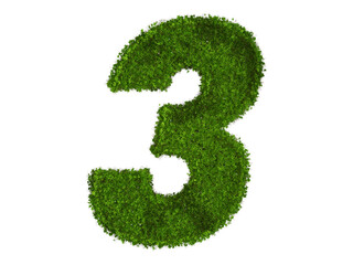 3d rendering of Alphabet number 3 made of boxwood flower. high resolution image in isolated white background