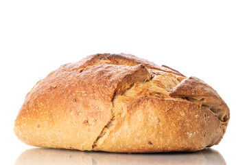 One loaf of buckwheat fragrant bread, macro, isolated on a white background.