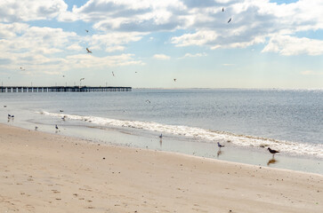 Fototapeta na wymiar Coney Island Beach with seagulls, Pat Auletta Steeplechase Pier in the background, Brooklyn, New York City during sunny winter day with cloudy sky, horizontal