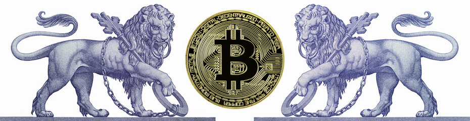 Two lions with keychain and chain In the middle there is a Bitcoin coin.