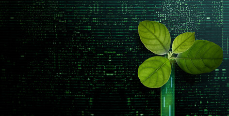 Carbon Nautral, ESG Concepts. Green Leaf inside a Computer Circuit Board. Growth. Environmental,...