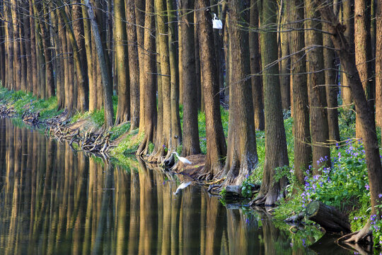 Lee in aquatic forest park