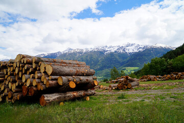 Alpine panorama with a pile of timber and snowy Italian Alps in the background in South Tyrol (Parcines, Rabland or Rabl&agrave;, Italy)	