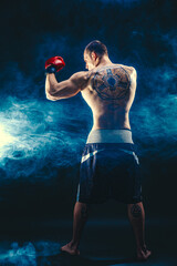 Back view of sportsman muscular boxer who fighting on black smoke background. Boxing sport concept