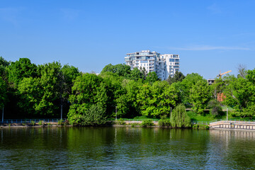 Landscape with old green trees near Herastrau lake and large green trees in King Michael I Park (former Herastrau) in Bucharest, Romania, in a sunny spring day.