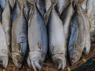 Obraz premium fresh fish on the market