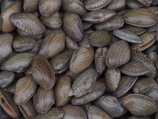 close up of a pile of peanuts