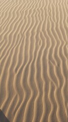 Fototapeta na wymiar Textura da areia em dunas em tutoia, Maranhão