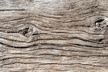 Beautiful wooden fracture old oak, natural texture close up