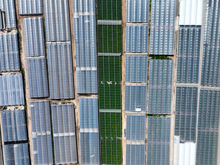 Greenhouse farming, vast land utilized for greenhouse agriculture, Aerial view.