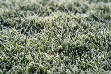 Frost