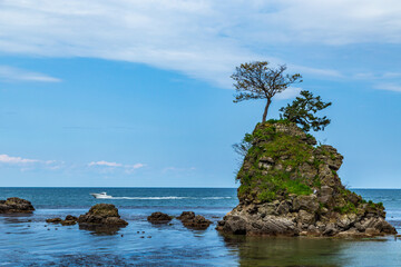 5月の雨晴海岸より女岩と立山連峰
