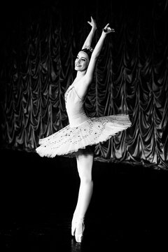 bright and fascinating emotions of ballet dancers' performances with moments from ballet productions