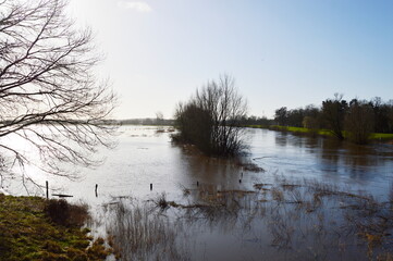 Hochwasser im Winter am Fluss Aller in der Stadt Rethem, Niedersachsen