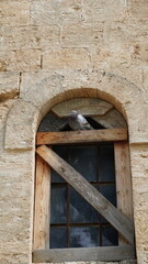 Old boarded-up window of abandoned building.