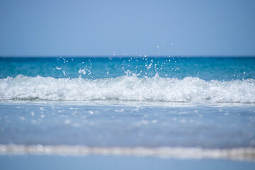 Sea