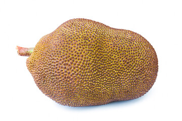 Jackfruit isolated on a white background.