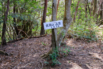 福井県敦賀市衣掛山の案内板