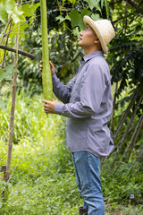 man working in agricultural field inspecting crops harvesting agricultural products