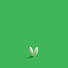 Funky pop up minimal concept. Awesome white bunny ears pop out from just broken endless green backgrounds. Creative copy space above