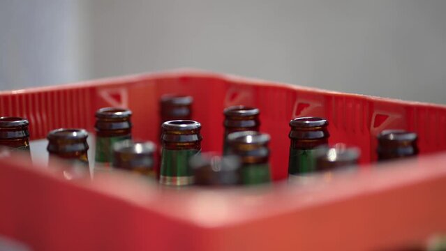 Close up of brown empty beer bottles in a case