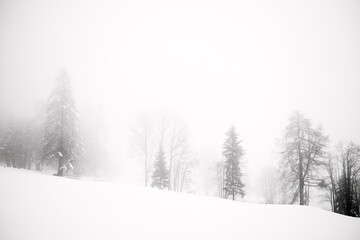 Obraz na płótnie Canvas neve nebbia bianco e nero 