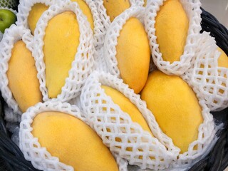 Top view of fresh yellow mango as a background in the market at Thailand (Mangifera indica), Tropical fruit, ready to eat or making drinks and salads