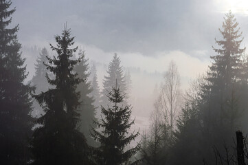 View of the snow-capped mountains.