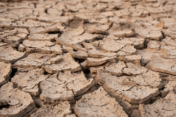 dry soil background