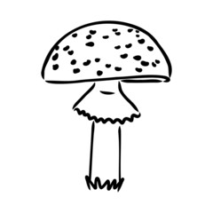 Handdrawn fly-agaric doodle icon. Hand drawn black sketch. Sign cartoon symbol. Decoration element. White background. Isolated. Flat design. Vector illustration.