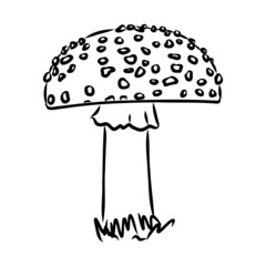 Handdrawn fly-agaric doodle icon. Hand drawn black sketch. Sign cartoon symbol. Decoration element. White background. Isolated. Flat design. Vector illustration.