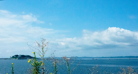 The blue sky, the sea, and wild flowers