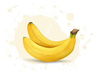 Banana fruit vector illustration isolated on white background