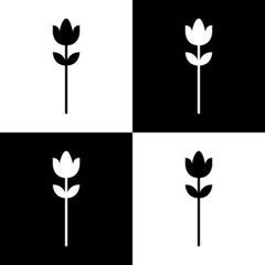 Seamless floral pattern vector flower shape doodle plant abstract background illustration for digital and print materials.