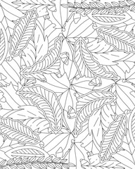 An autumn leaf coloring background