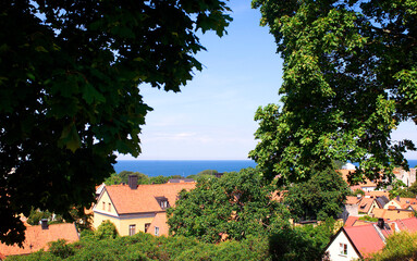 Building surrounded by green leaves
