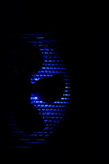 Fan wings against blue background